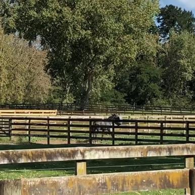 Karapiro Farm Cleaning The Dishes
