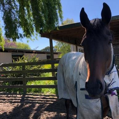 Having a Closer Look