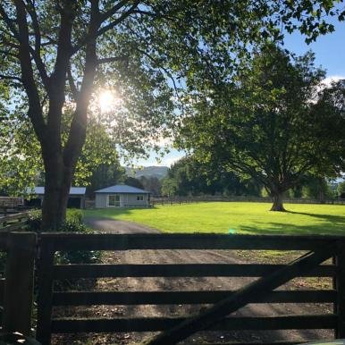 Karapiro Farm Sunny Paddock